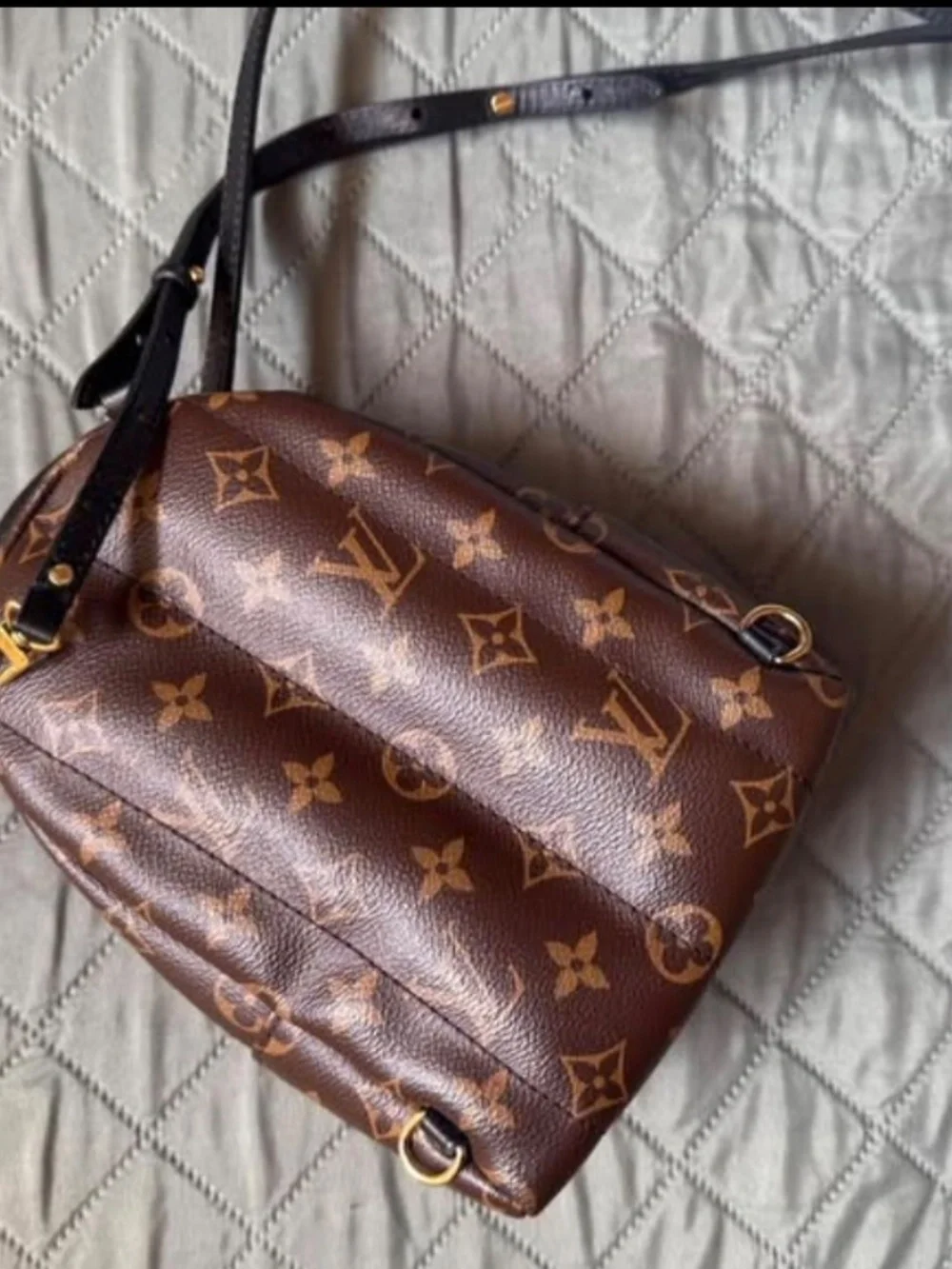 Louis Vuitton palm spring mini backpack